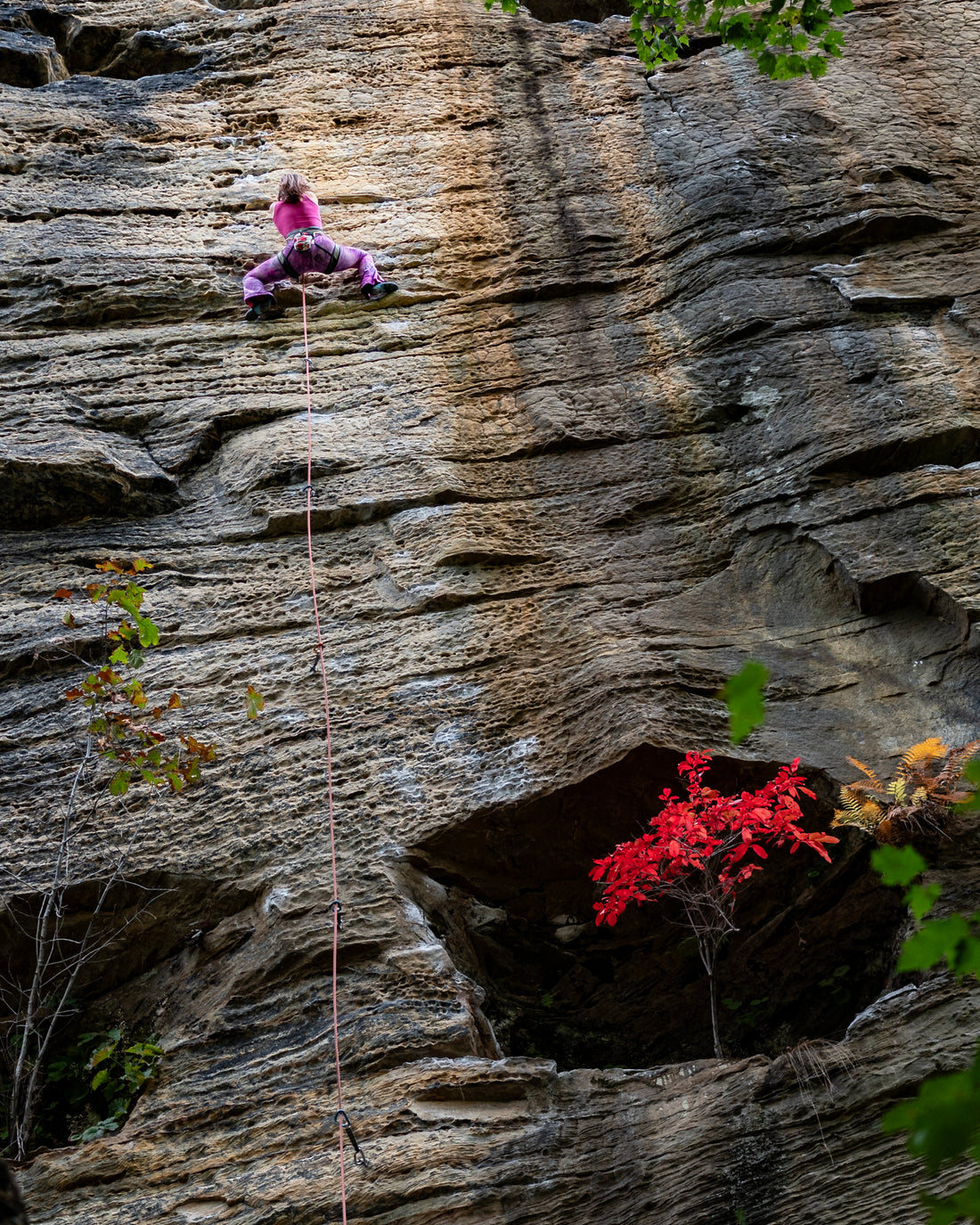 Red River Gorge Climbing Retreat